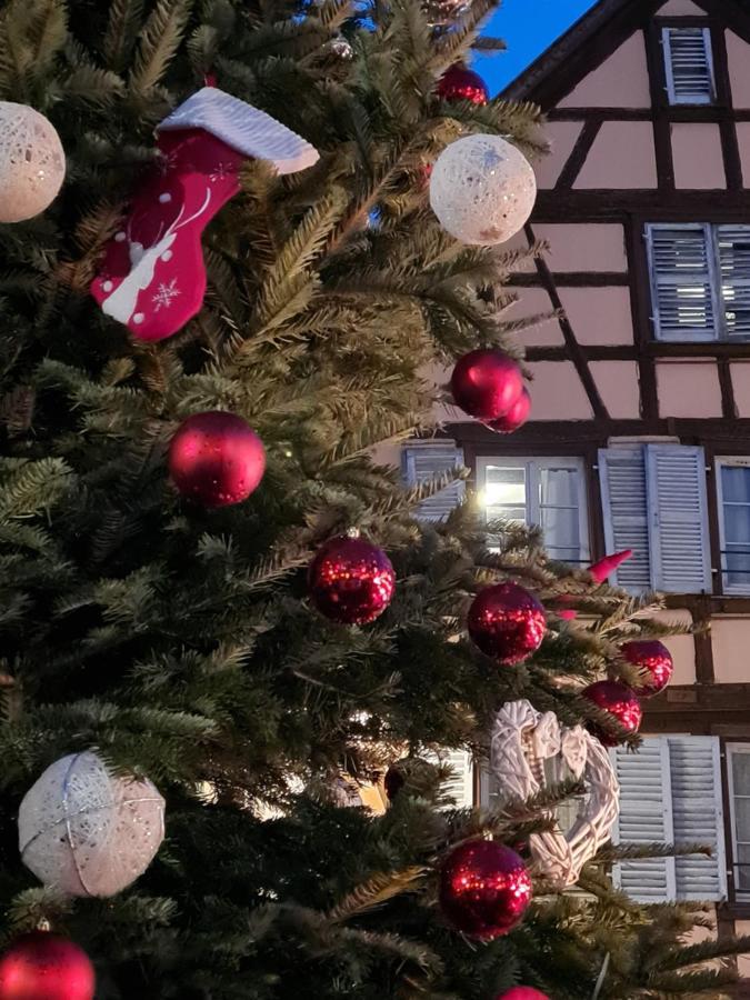 Mercure Colmar Centre Unterlinden Esterno foto